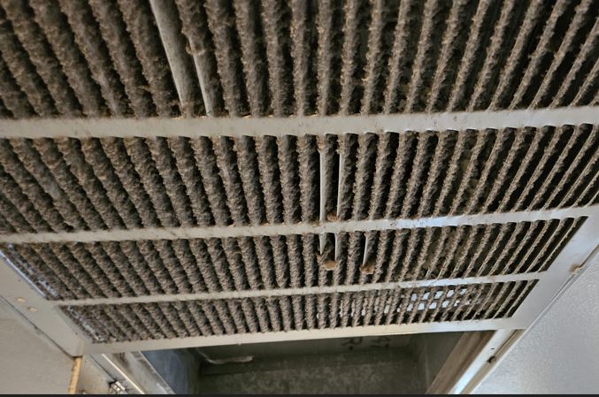 mold in air ducts