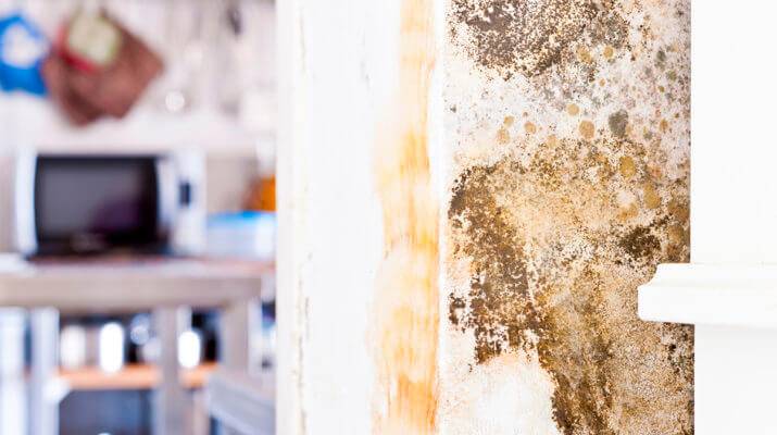 mold testing las vegas