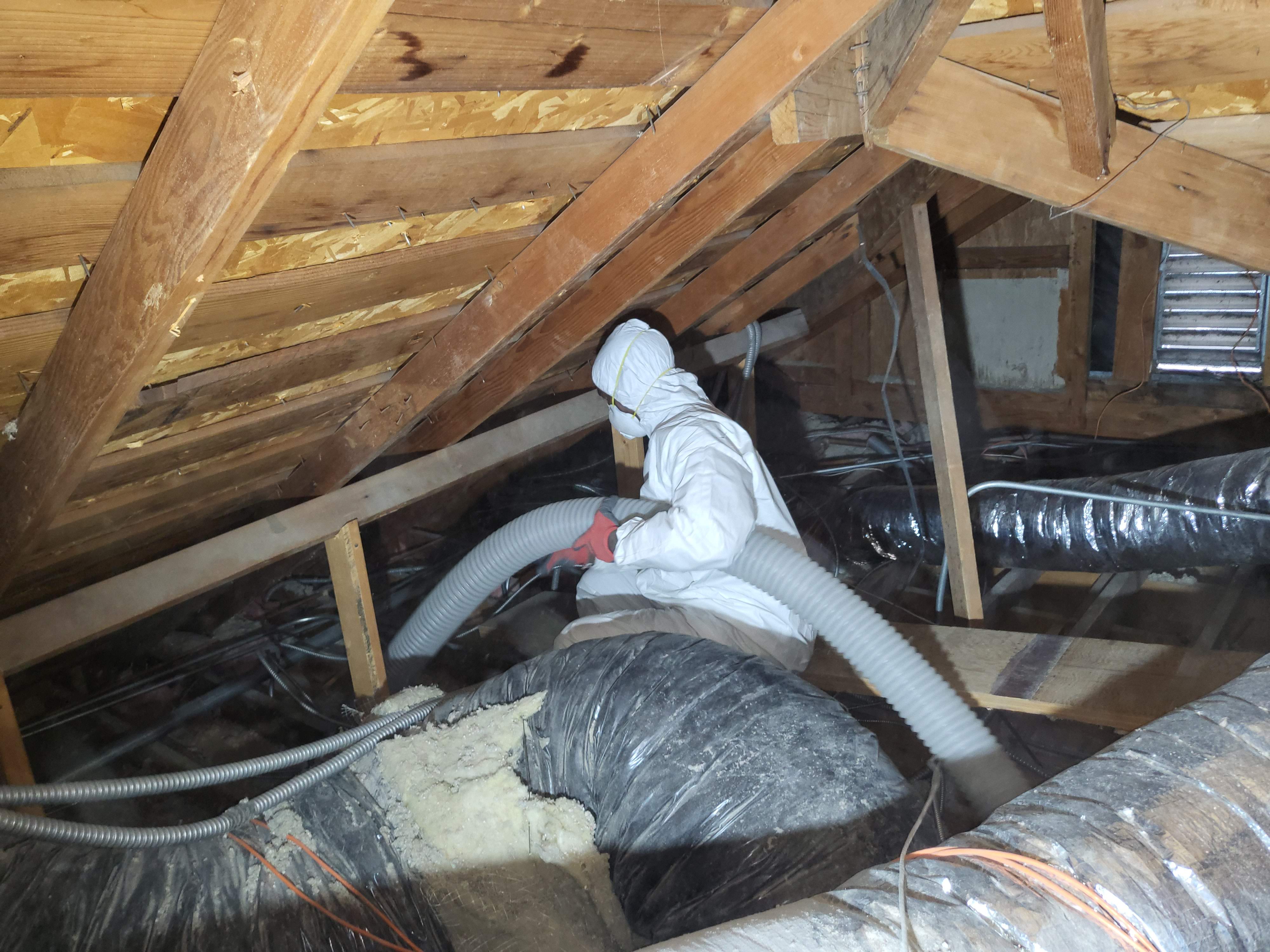 insulation-removal-process