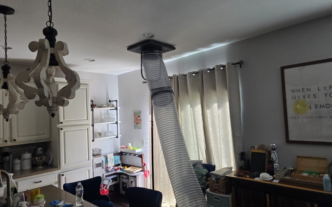 What are the Major Signs of Mold in Air Ducts?