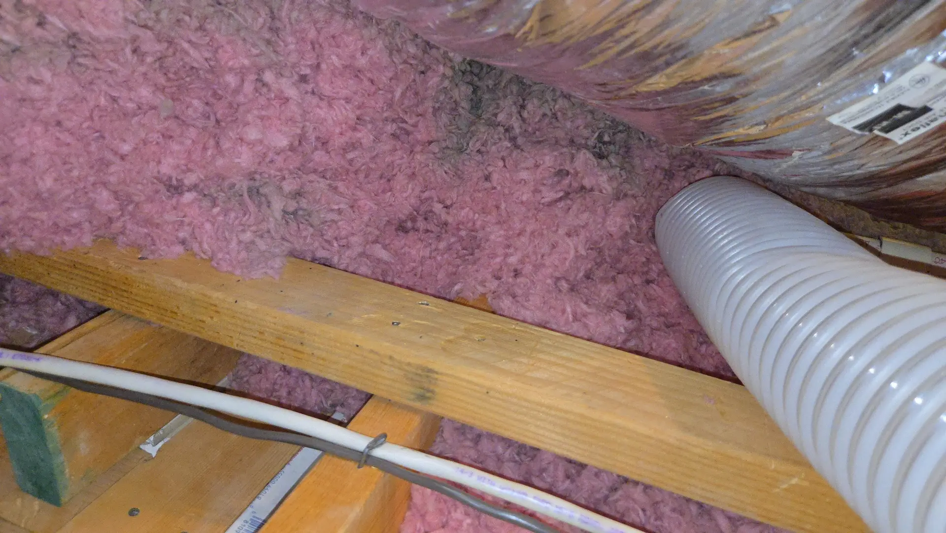 attic-cleaning